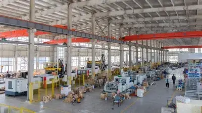 Company Profile