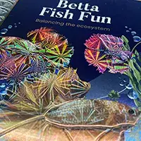 Holographic Cold Foil Screen Printing Line