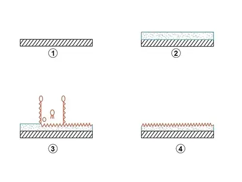 Process Flow